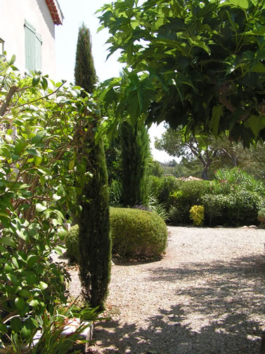 Création et entretien de votre jardin sur Marseille