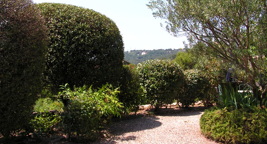 Entretien de votre jardin à Marseille